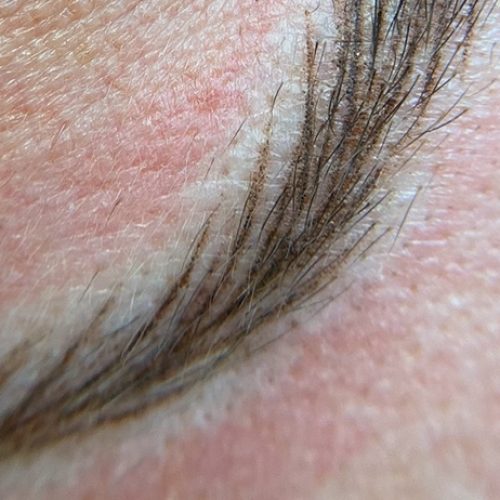 Jonelle Salzman-Nano brow strokes up close